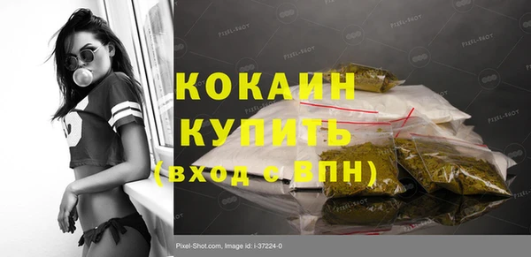 прущие грибы Касимов