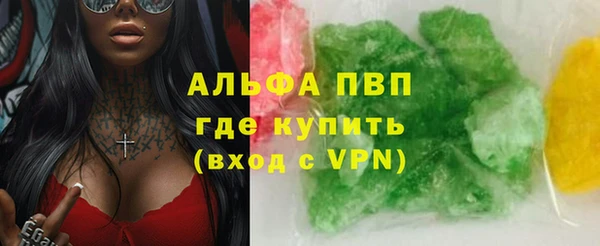 прущие грибы Касимов