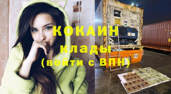 прущие грибы Касимов